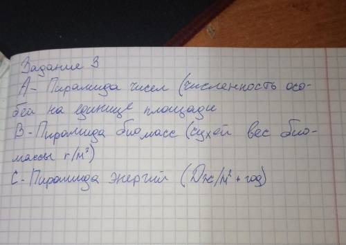 Определите, по каким признакам можно отличить графические изображения пирамид численности, биомассы