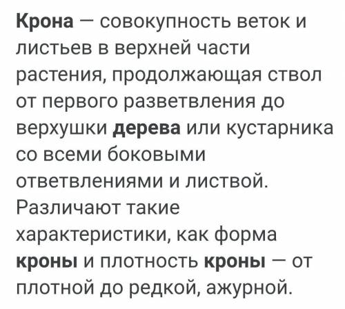 Что такое крона плодового дерева? Подскажите