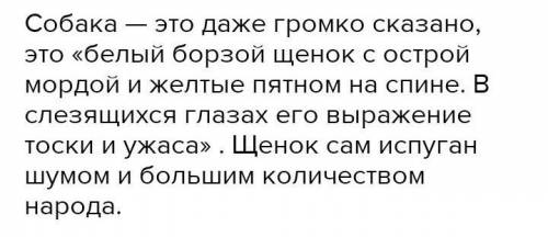 1. Но вот кто-то предположил, что это генеральская собака. Как это отражается на поведении Очумелова