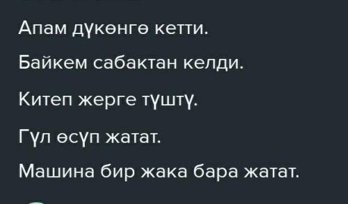 Составьте предложения на кыргызском языке стиль жана стилистика по 5 предложений на каждый