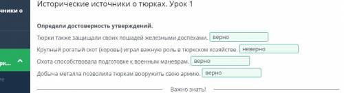 Исторические источники о тюрках. Урок 1 Определи достоверность утверждений. Тюрки также защищали сво