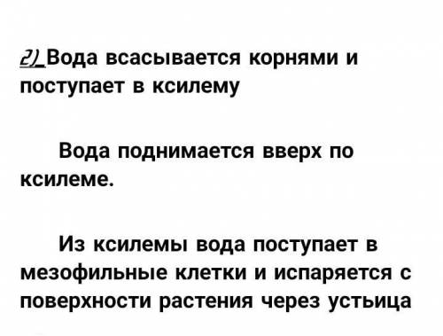 навыков ЕЛЬНЫХ OT Применение Навыки высокого порядка Время выполнения 20 минут Задания 1. Транспорт