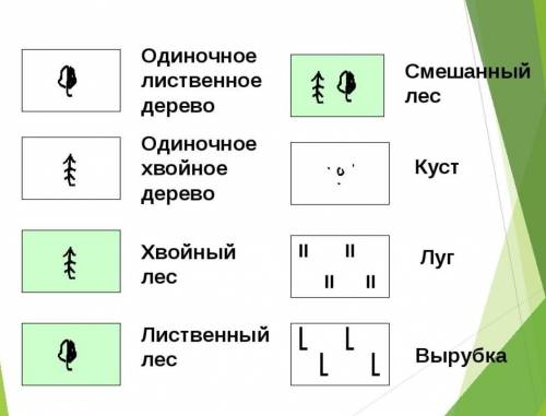 сделать СОр , очень надо(естествознание)