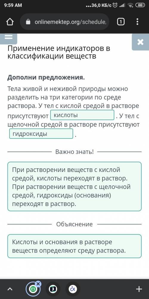 Дополни предложения. Тела живой и неживой природы можно разделить на три категории по среде раствора