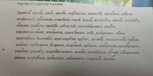 Поставьте Ударение в словах: Дремота, партер, досуг, еретик, отрочество... (Продолжение на фото)