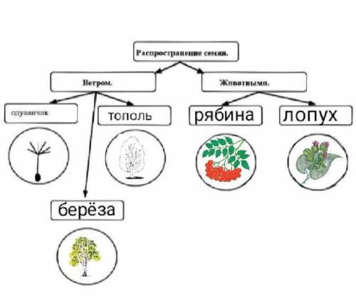 Задание 2 ( ). Как выполнять задания по работе с текстом и дополнительными источниками по биологии Д