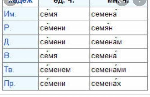 1. К разносклоняемым относятся имена существительные: 1) ж.р. с нулевым окончанием; 2) ср.р. на – мя