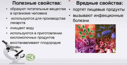 2. Нарисуйте строение бактерий и заполните таблицу гради. Полезные свойства бактерий Вредные свойств