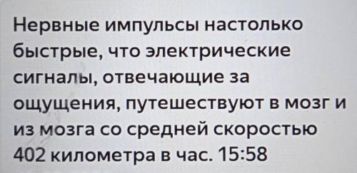 С какой скоростью распространяются нервные импульсы в км час