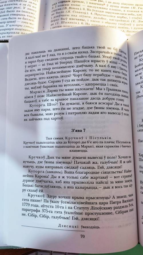 Пинская шляхта 1. Найяснейшая карона. Дя каго ў творы звяртаюцца такім чынам? 2. Што стала прычынай 