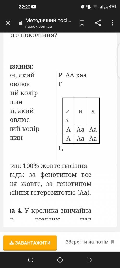 2. Перший рядок схеми схрещування оформити легко, бо нам відомі генотипи батьківських організмів: ро