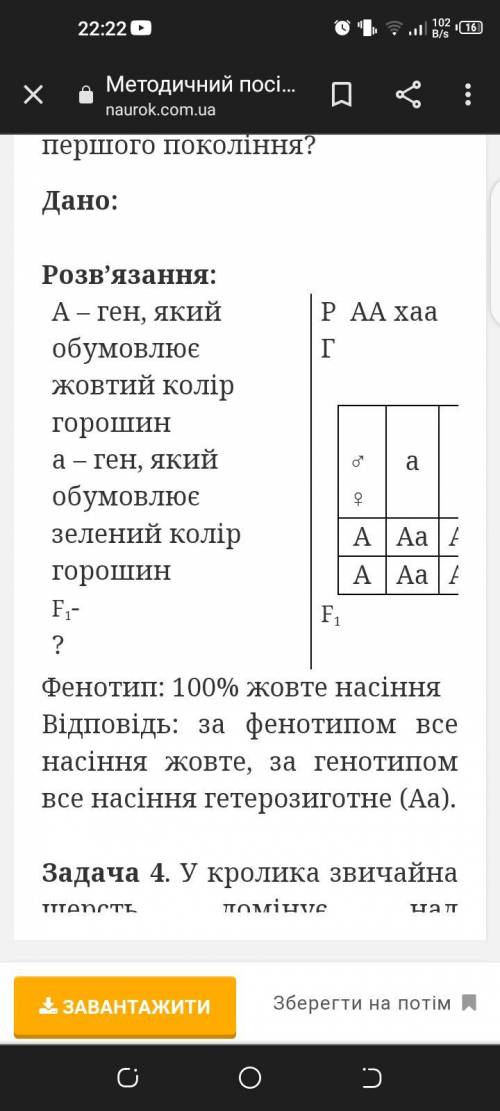 2. Перший рядок схеми схрещування оформити легко, бо нам відомі генотипи батьківських організмів: ро