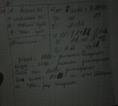 Чоловік з маленькими очима і тонкими губами (рецесивні ознаки) одружився з жінкою з великими очима і