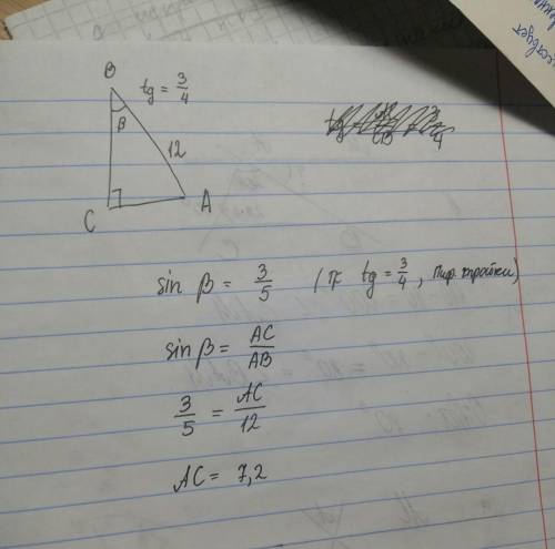 Треугольник авс tgb =3/4 угол c=90° ab =12 найти ас-? ​