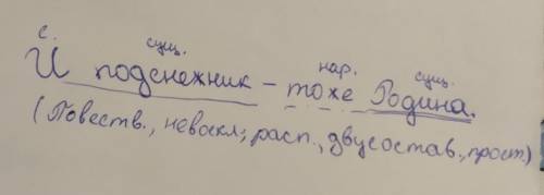 Синтаксический разбор предложения. и подснежник-тоже родина.