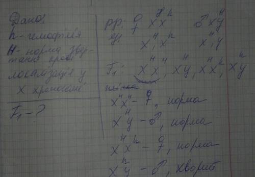 Улюдини рецесивний ген гемофілії - h локалізований в x - хромосомі. які діти і якої вони будуть стат