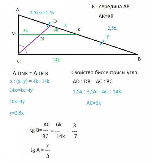 Биссектриса прямого угла делит среднюю линию прямоугольного треугольника параллельную катету на отре