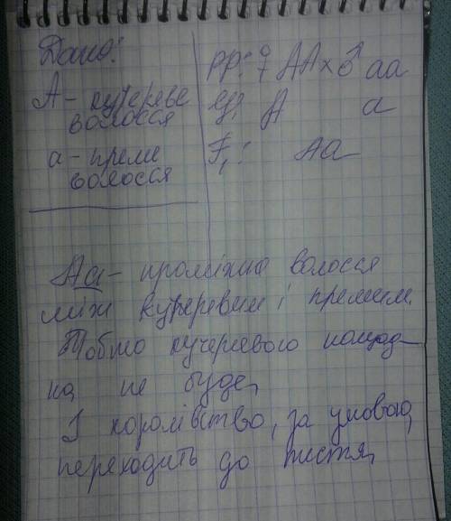 Тільки швидко з поясненням герцог гамбурзький має пряме волосся. він одружується з кучерявою принцес