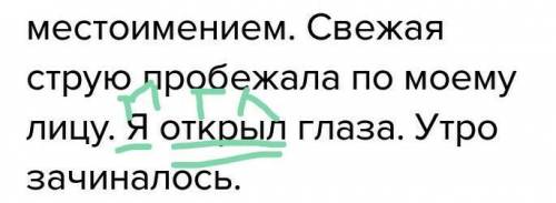 Подчеркните грамматическую основу(главные члены) в тех предложениях,где подлежащее выражено местоиме