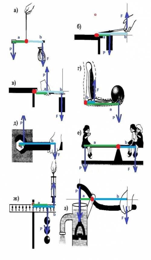 Указать на всех рычагах точку опоры (ось вращения) и плечи, определить направления сил, действующих 