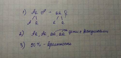 Всемье, где мать имеет веснушки (а) и iii группу кров, а отец без веснушек и имеет i группу крови, р