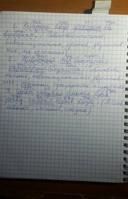 Синтаксический разбор предложений 1)холодный ветер проходит по вершинам берёз.2)животный мир бесконе