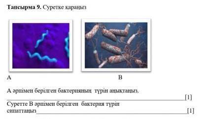 Өтінем көмектесіңіздерші беремін​