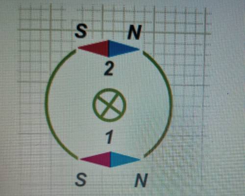 Укажите, какая из магнитных стрелок на рисунке расположена верно. 1) стрелка под номером 1 2) стрелк