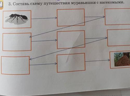 3. Составь схему путешествия муравьишки с насекомыми 2 класс​