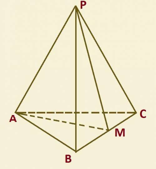 В правильной трех угольной пирамиде PABC сторона основания равна 10см, а апофема PM= 15см. Вычислить