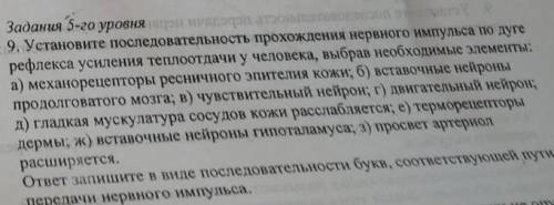 Установите последовательность прохождения нервного импульса по рефлекторной дуге​