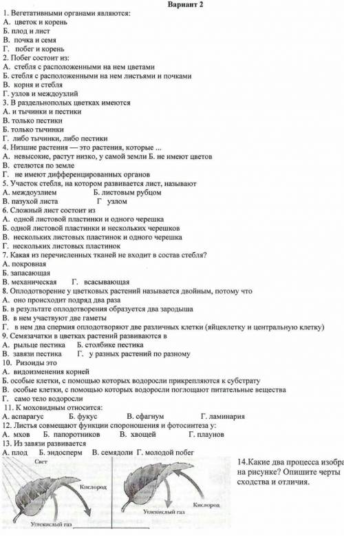 Итоговая контрольная работа по биологии 6 класс