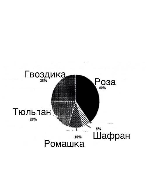 Круговая диаграмма показывает количество цветов на клумбе в процентах. Если всего 1200 цветов, найди