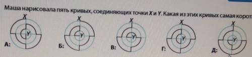 Маша нарисовала пять кривых, соединяющих точки Х и У. Какая из этих кривых самая короткая. ​