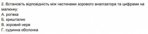 Встановіть відповідність між частинами зорового аналізатора​