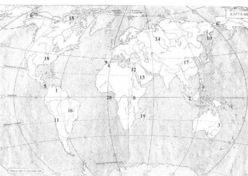 Какой цифрой на карте обозначено: а) Бразильское плоскогорье? б) Берингов пролив? в) Аравийский п