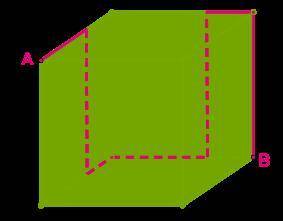Муха ползает по поверхности куба вдоль красной линии от точки A к точке B. Определи длину проделанн
