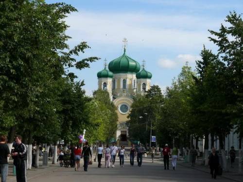 Скажите название деревьев???????? фото прилагаю