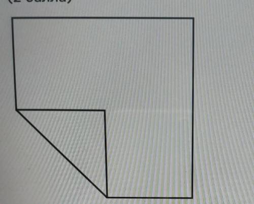 У квадратного листа бумаги загнули один угол так, что вершина оказаласьв центре квадрата (см. рисун