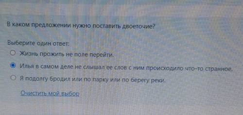 В каком предложении нужно поставить двоеточие?​