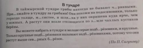 Подобрать поверочное слово к слову червивыми и шляпка2Разобрать по составу слово подберёзовики