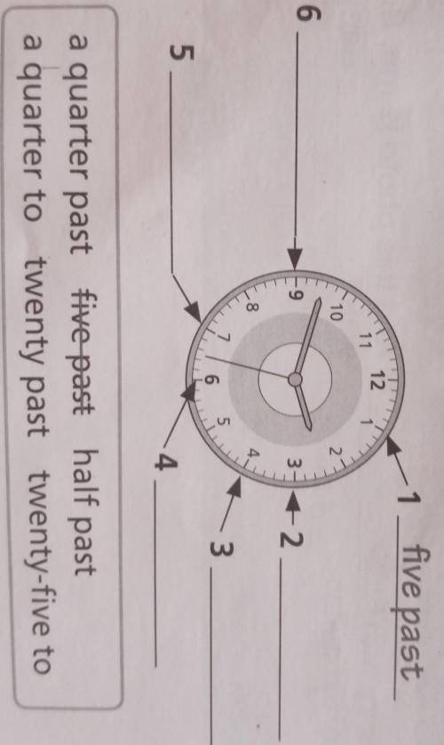 Label the clock with the phrases in the box.​