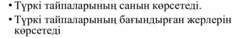 Түркі тайпаларынын саны неше