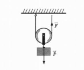 Груз удерживают в равновесие с блока изображенного на рисунке, действуя сила=50 Н. Вес блока пренебр