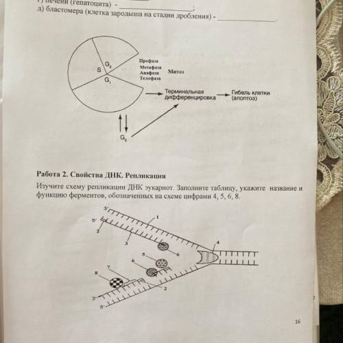 с работой 2 ,обозначить на рисунке