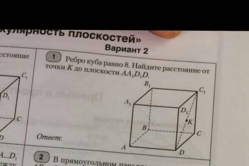 Ребро куба равно 8. Найдите расстояние от точки k до плоскости AA1D1D