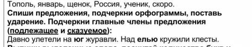 требуется Нужно подчеркнуть все орфограммы которые есть 2 класс.Всем