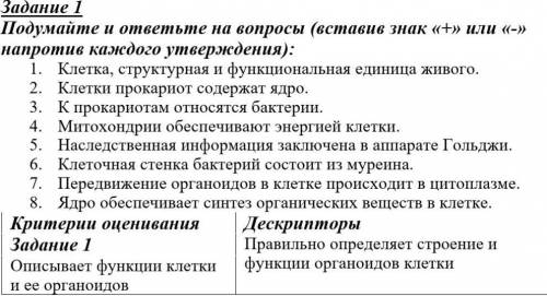 Подумайте и ответьте на вопрося ( вставив 《+》или 《-》 напротив каждого утверждения ):​