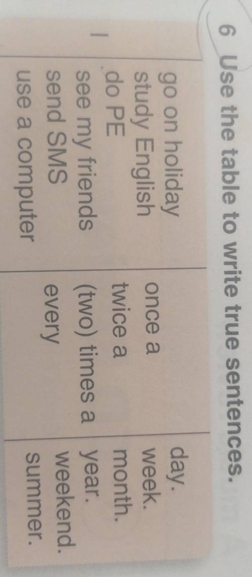 6 Use the table to write true sentences. 1go on holidaystudy Englishdo PEsee my friendssend SMSuse a