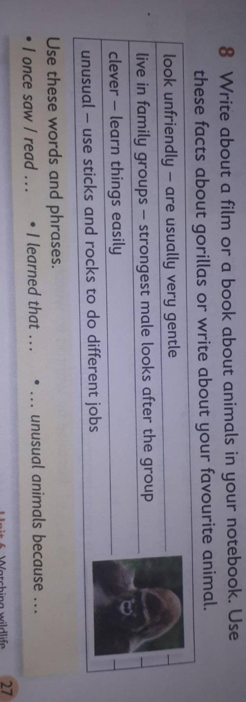 помагите нужно сейчас даю 15б за задание на фото задание напишите тект про любово жывотного ​